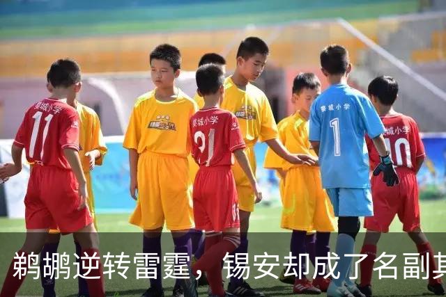 鹈鹕逆转雷霆，锡安却成了名副其实的“负重者”！